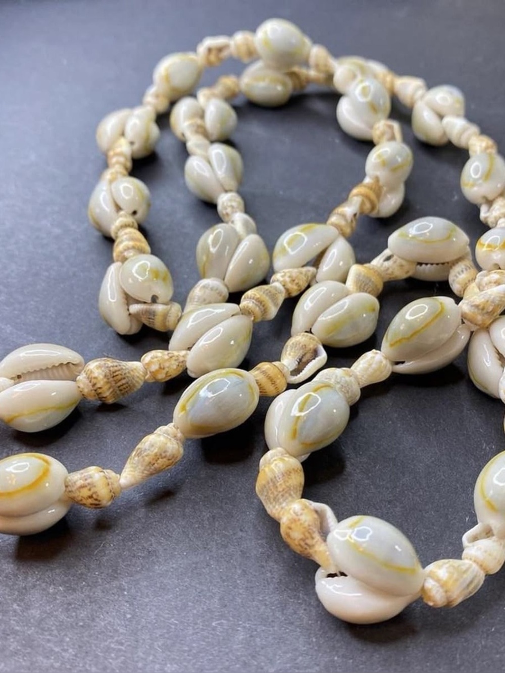 Vintage Hawaiian Lei Cowrie Shell 🐚 Necklace - surprise